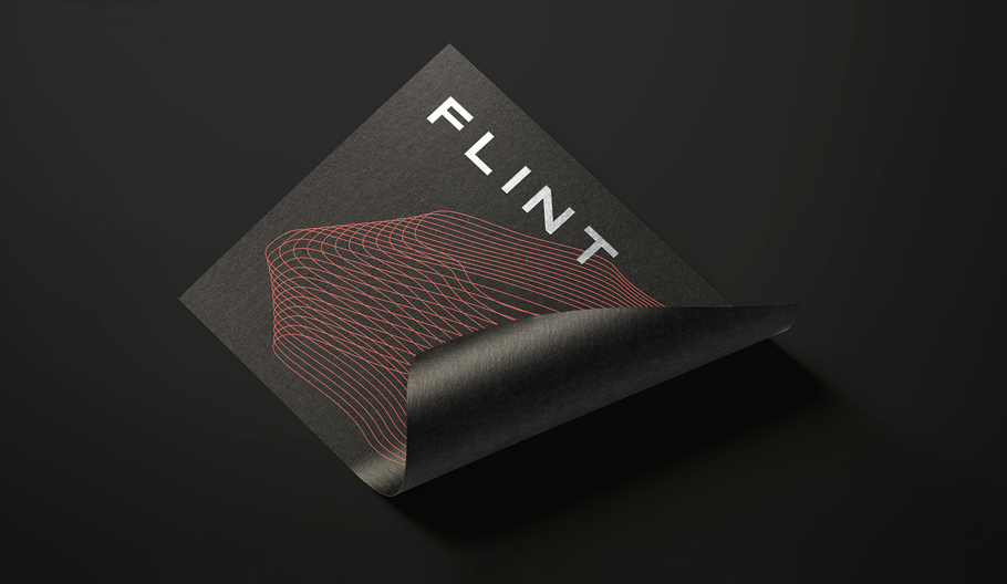 Flint – Uchwycić iskrę w technologicznej marce (6.2)