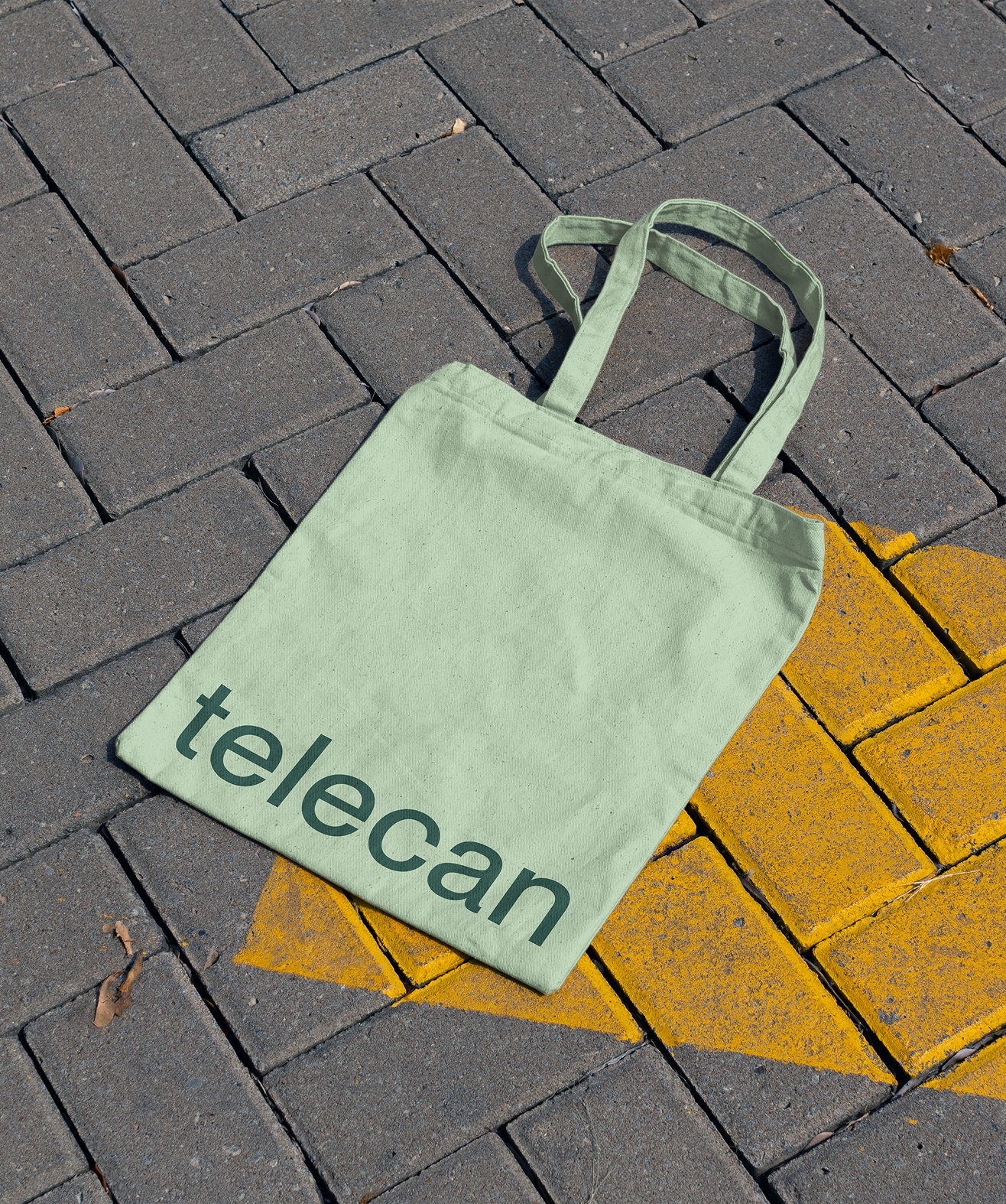 Telecan – No waiting rooms, just relief (14.2)